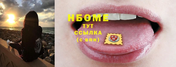 apvp Гусев