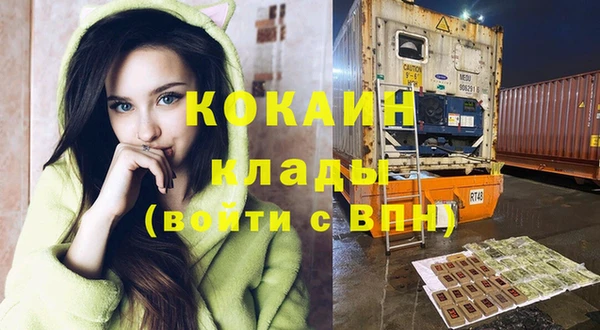 крисы Горняк