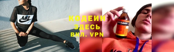 apvp Гусев