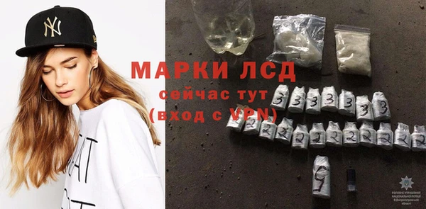apvp Гусев