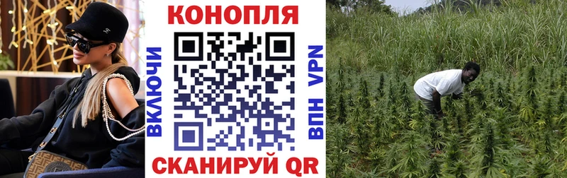Марихуана Amnesia  Ядрин 